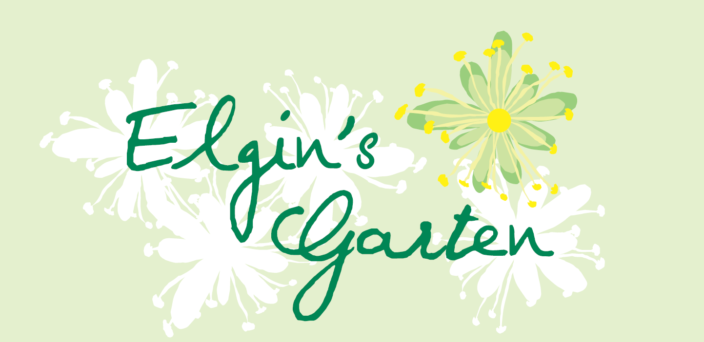 Elgins Garten